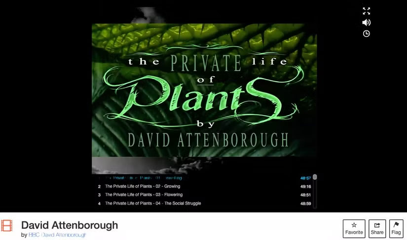 Learn About the Internet Archive: The Website That Offers a Rich Treasure of Entertainment That Many People Don't Know About Picture 3