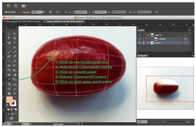 Picture 7 of Learn the basics of the Mesh Tool in Illustrator.