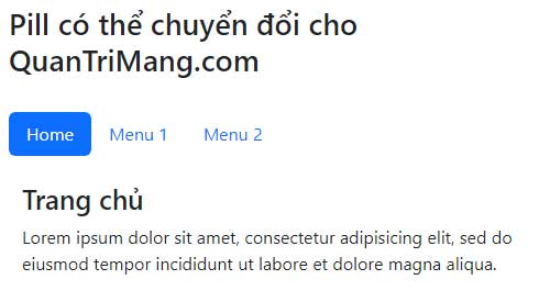 Picture 10 of Lesson 20: Navs in Bootstrap 5