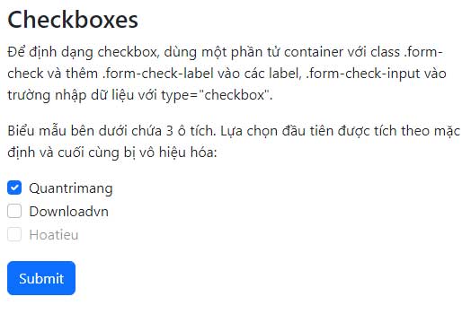 Picture 1 of Lesson 33: Checkboxes and Radio Buttons in Bootstrap 5