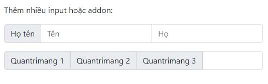 Picture 3 of Lesson 35: Input Groups in Bootstrap 5