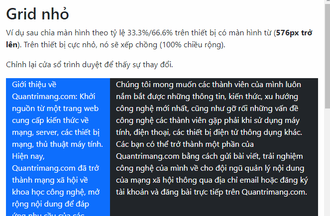 Picture 2 of Lesson 40: Small Grid in Bootstrap 5