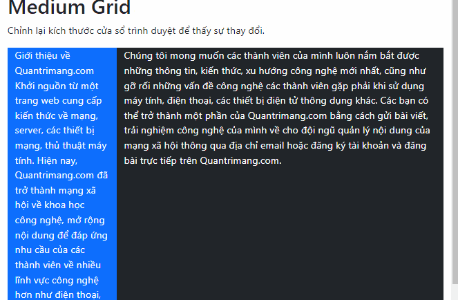 Picture 1 of Lesson 41: Grid Medium in Bootstrap 5
