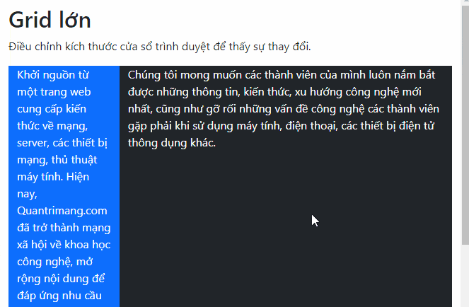 Picture 1 of Lesson 42: Large Grid in Bootstrap 5