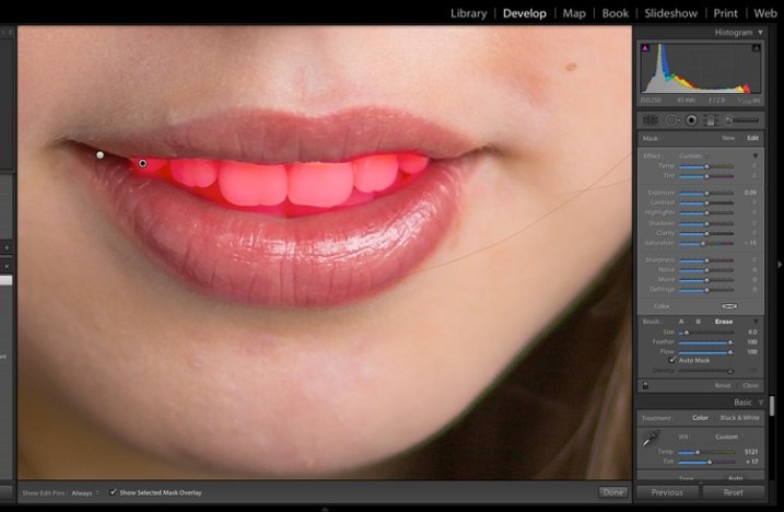 Lightroom Post-Processing Guide for Beginners Picture 14