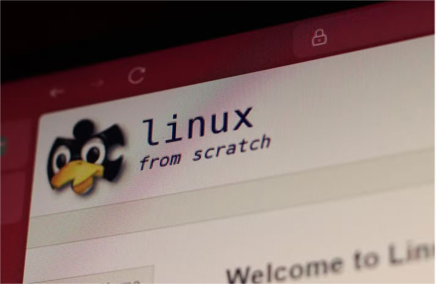 Linux isn't really free! You still have to pay DIY costs! Picture 7