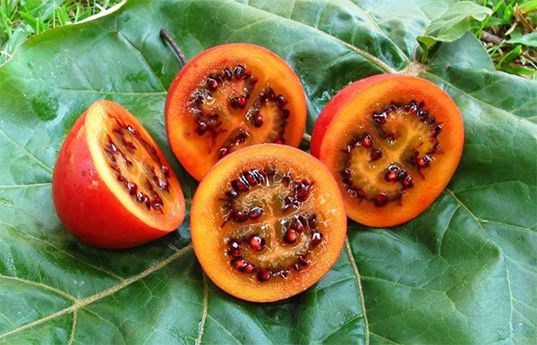 List of fruits voted the rarest and most delicious in the world Picture 15