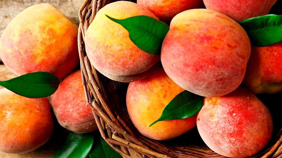 List Of Fruits Voted The Rarest And Most Delicious In The World 