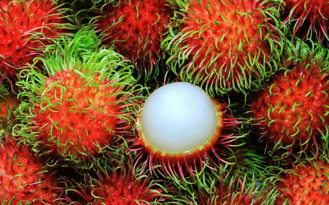 List of fruits voted the rarest and most delicious in the world Picture 2