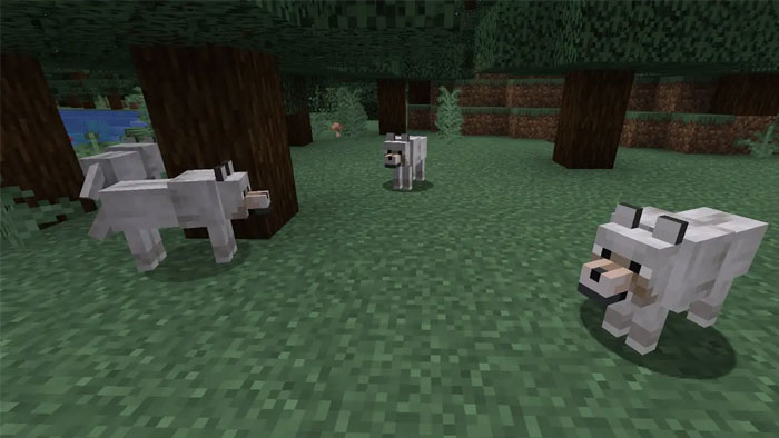 images 1 of Location and rarity of all wolf variants in Minecraft