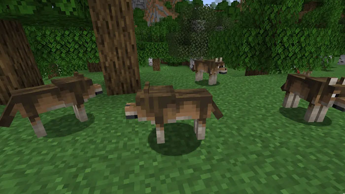images 2 of Location and rarity of all wolf variants in Minecraft