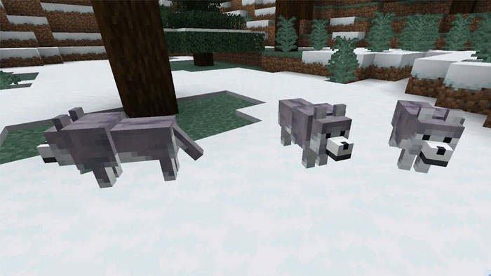 images 3 of Location and rarity of all wolf variants in Minecraft
