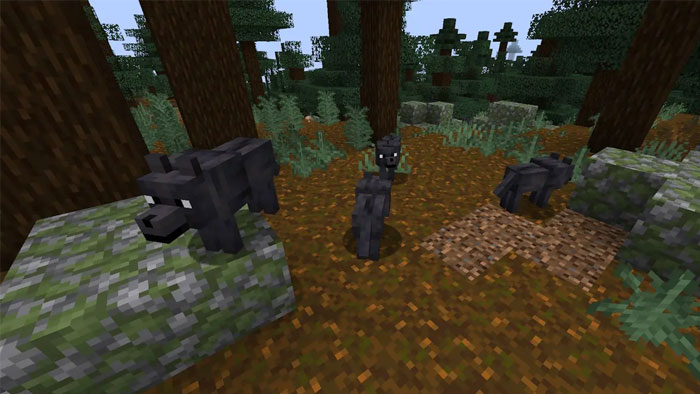 images 4 of Location and rarity of all wolf variants in Minecraft
