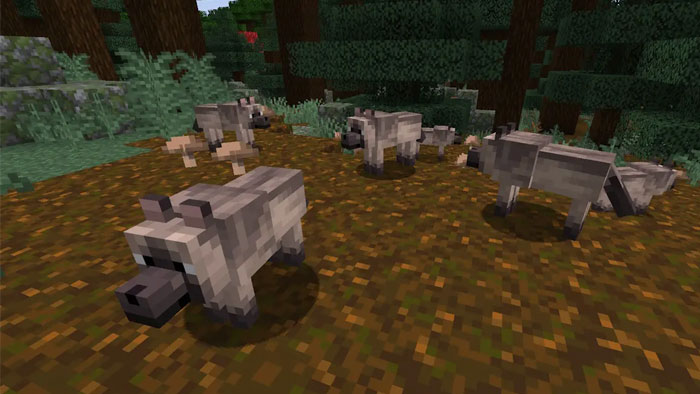 images 5 of Location and rarity of all wolf variants in Minecraft
