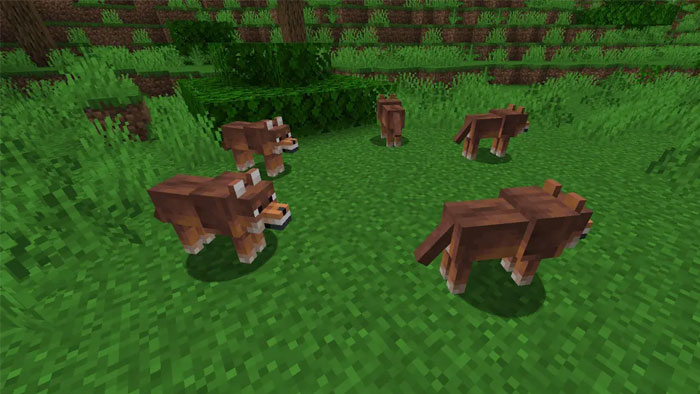 images 6 of Location and rarity of all wolf variants in Minecraft