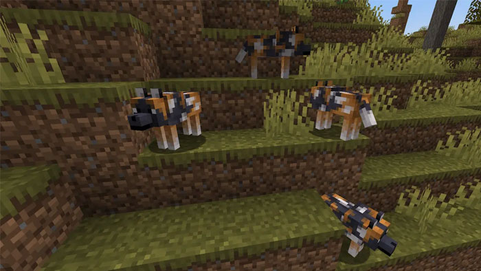 images 7 of Location and rarity of all wolf variants in Minecraft