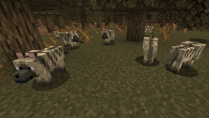 images 8 of Location and rarity of all wolf variants in Minecraft