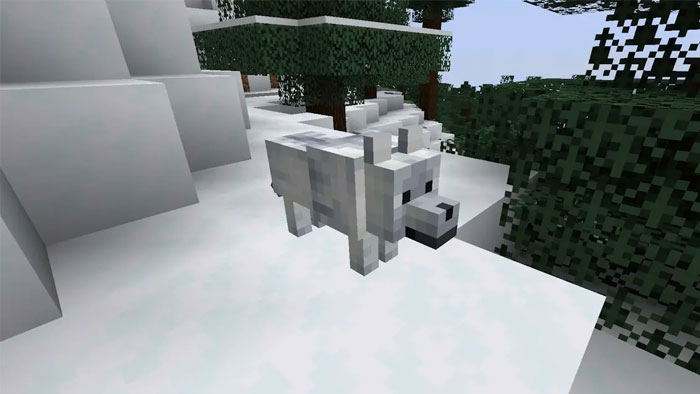 images 9 of Location and rarity of all wolf variants in Minecraft