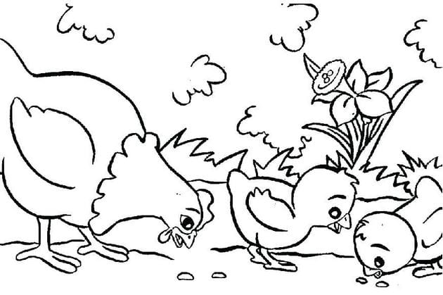 Lovely animal coloring pages for kids help develop thinking Picture 19