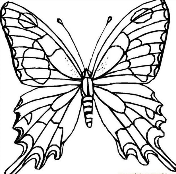 Lovely animal coloring pages for kids help develop thinking Picture 25