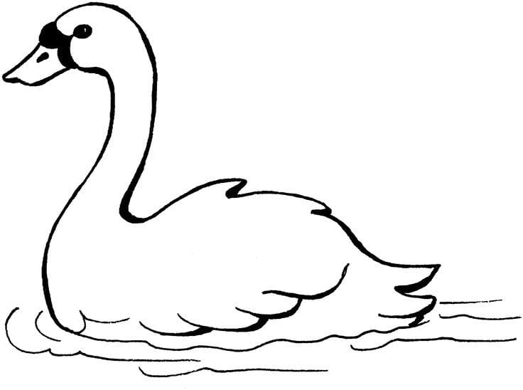 Lovely animal coloring pages for kids help develop thinking Picture 26