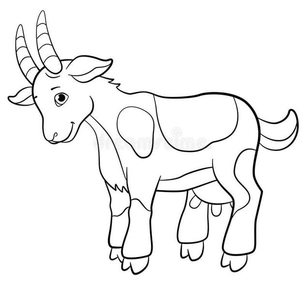 Lovely animal coloring pages for kids help develop thinking Picture 28
