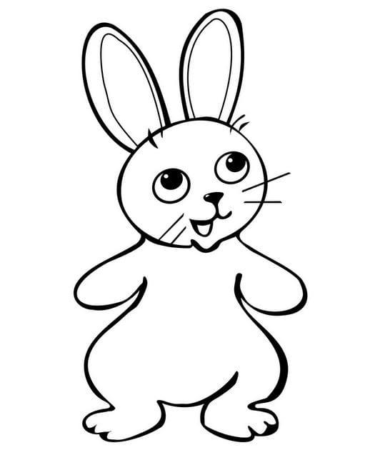 Lovely animal coloring pages for kids help develop thinking Picture 3