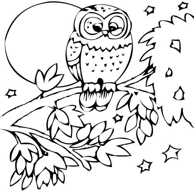 Lovely animal coloring pages for kids help develop thinking Picture 5