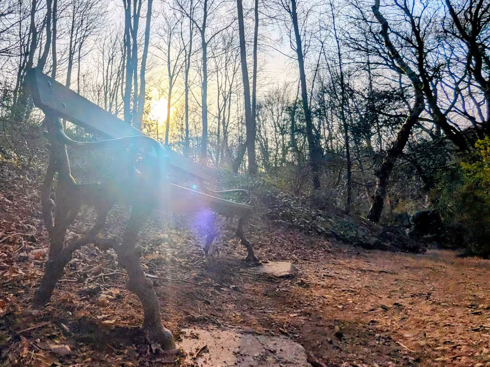 Make your smartphone photos more impressive with this simple tip! Picture 1