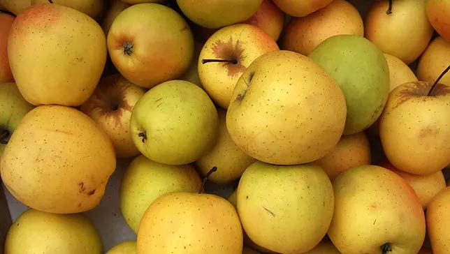 Meaning of names of different apples in the world Picture 3