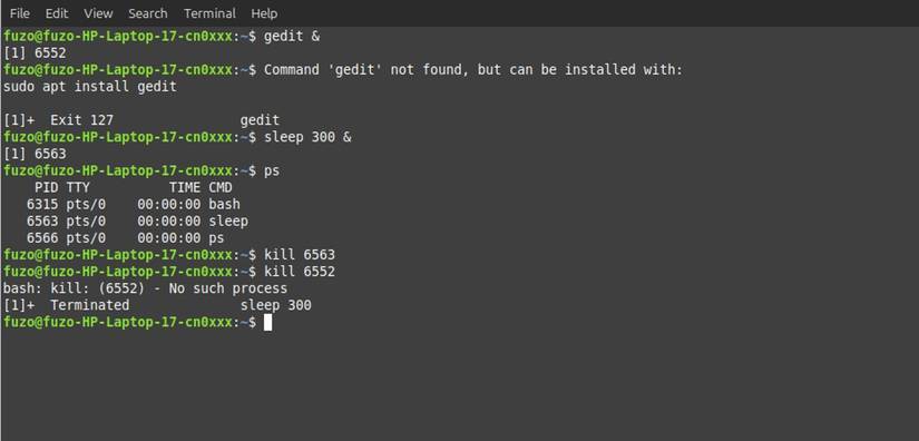 Memorize these 5 commands so you won't be afraid of Linux Terminal anymore! Picture 5