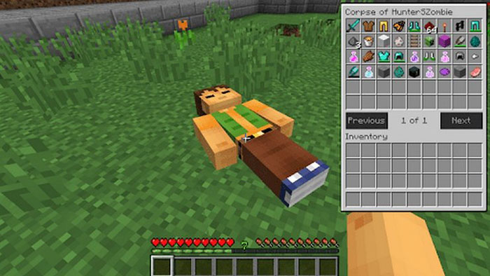images 3 of Minecraft: How to collect items after dying