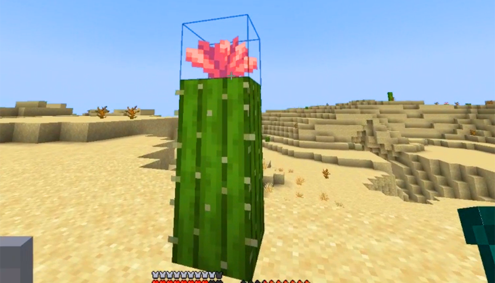 Minecraft: How to Get and Use Cactus Flowers Picture 1
