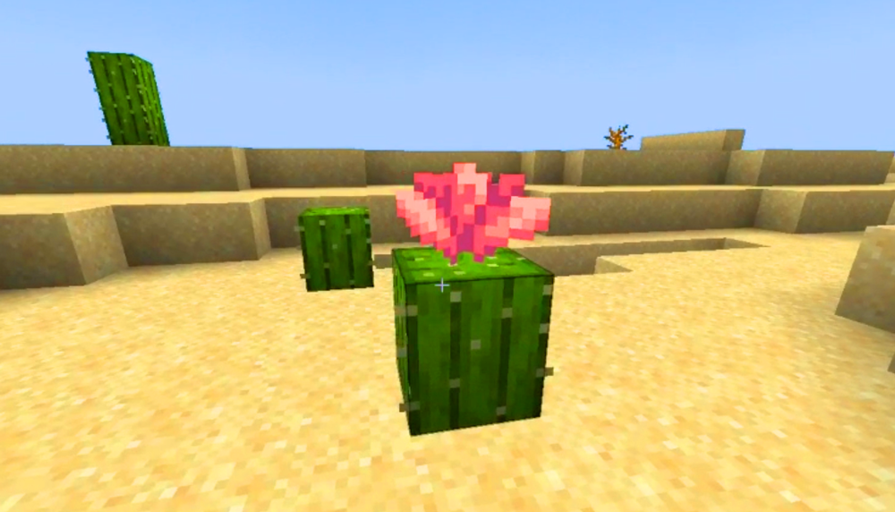 Minecraft: How to Get and Use Cactus Flowers Picture 4
