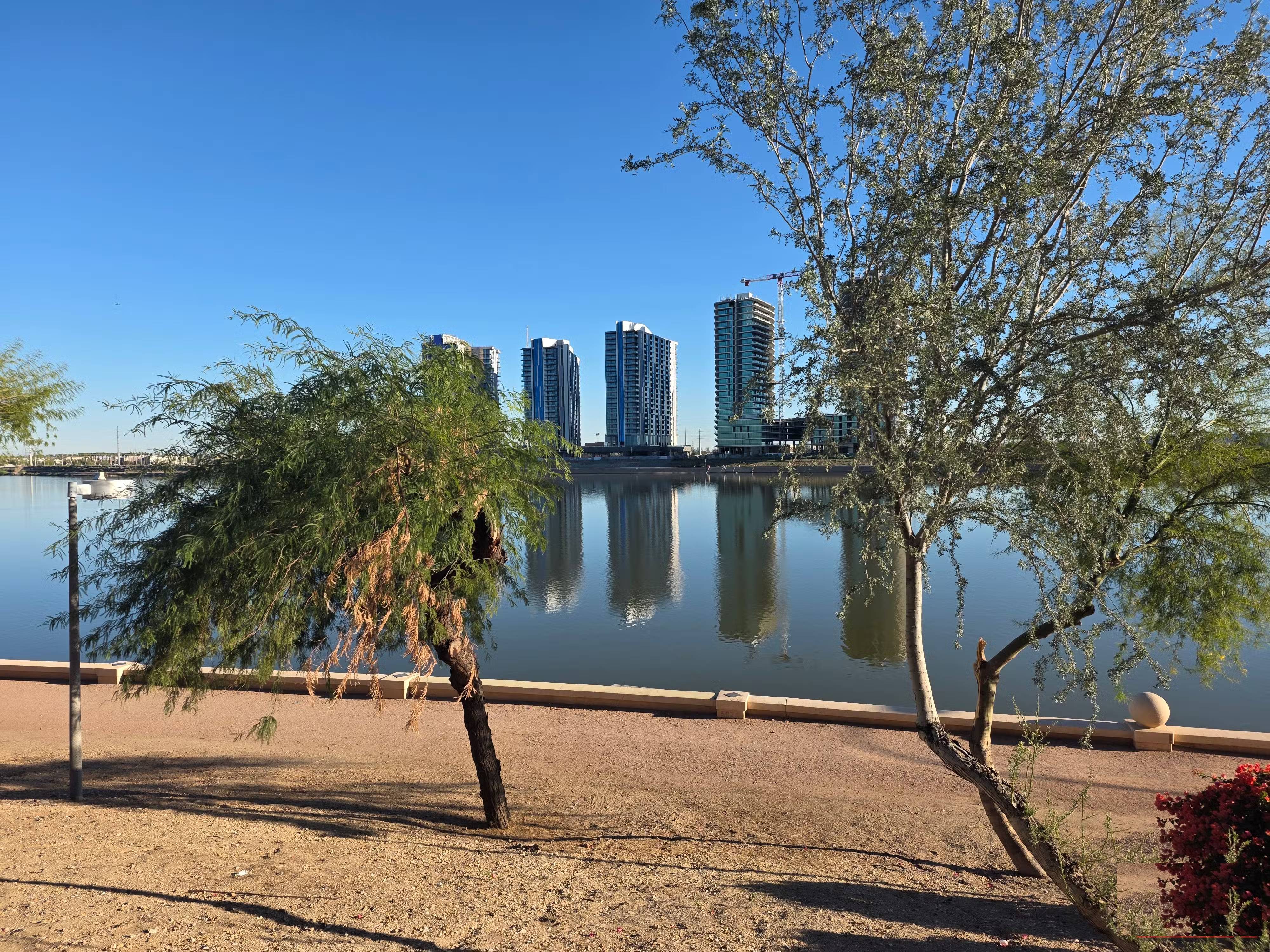 These minimalist camera apps will help you fall in love with photography again. Picture 10