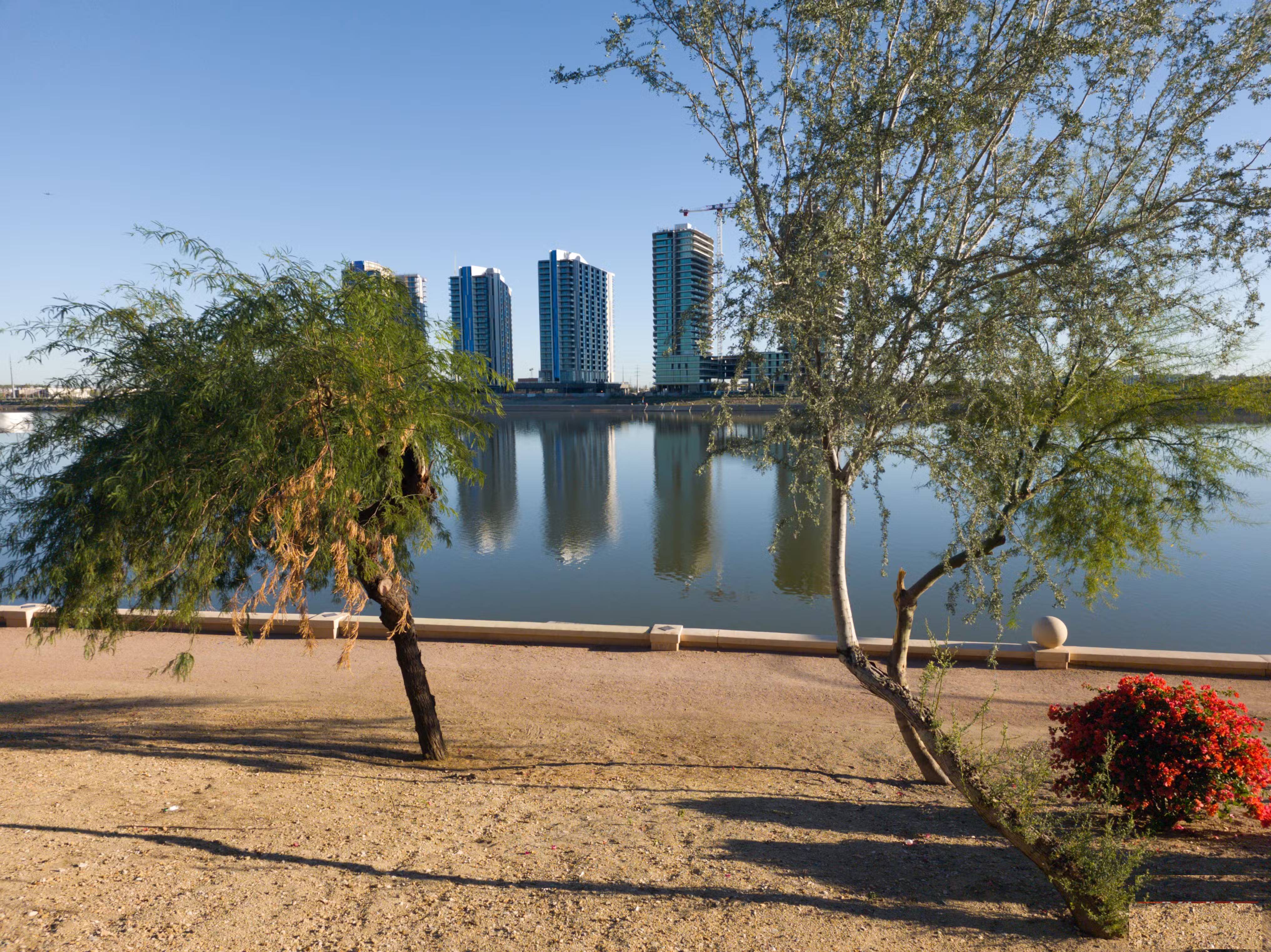 These minimalist camera apps will help you fall in love with photography again. Picture 11