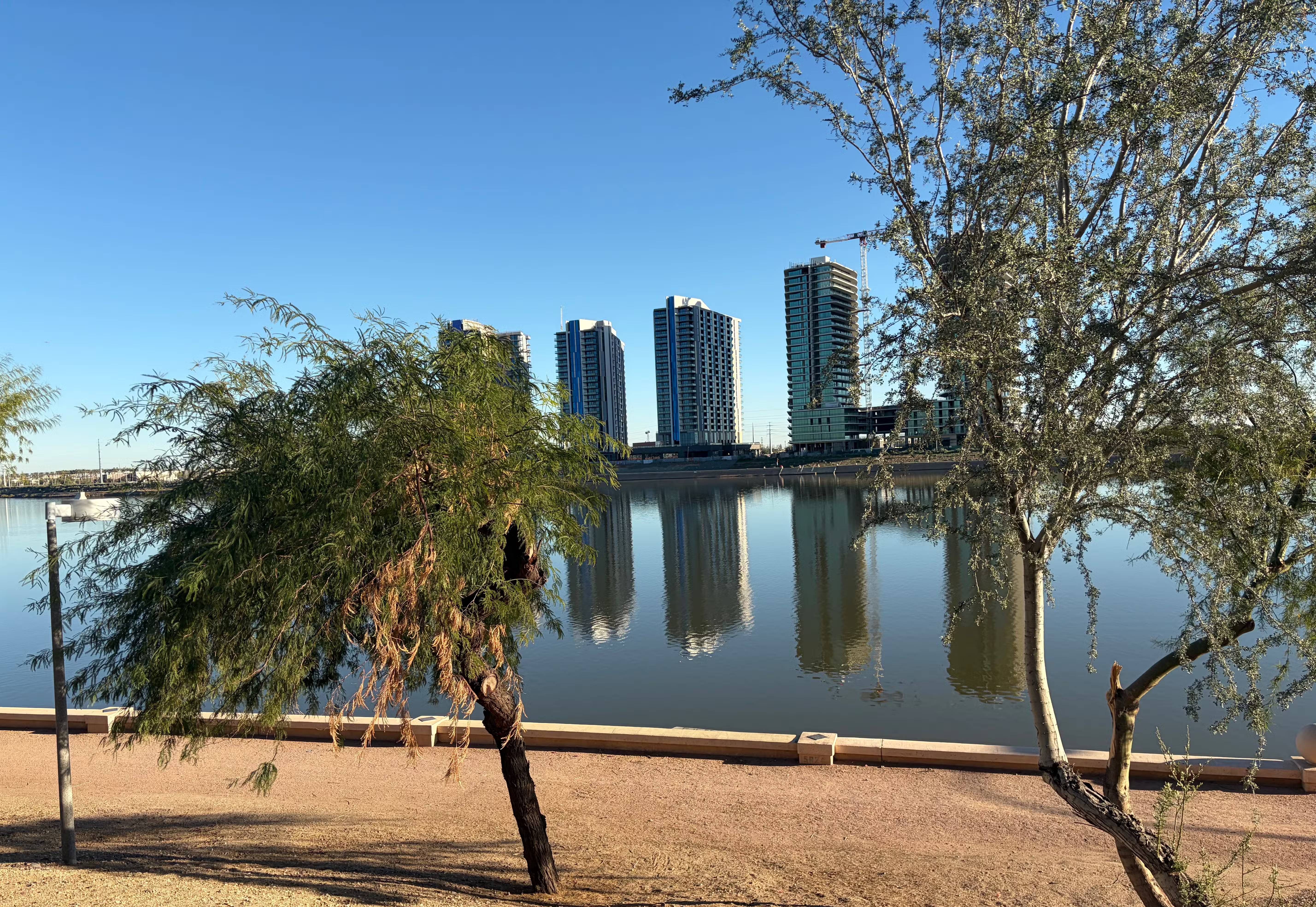 These minimalist camera apps will help you fall in love with photography again. Picture 15