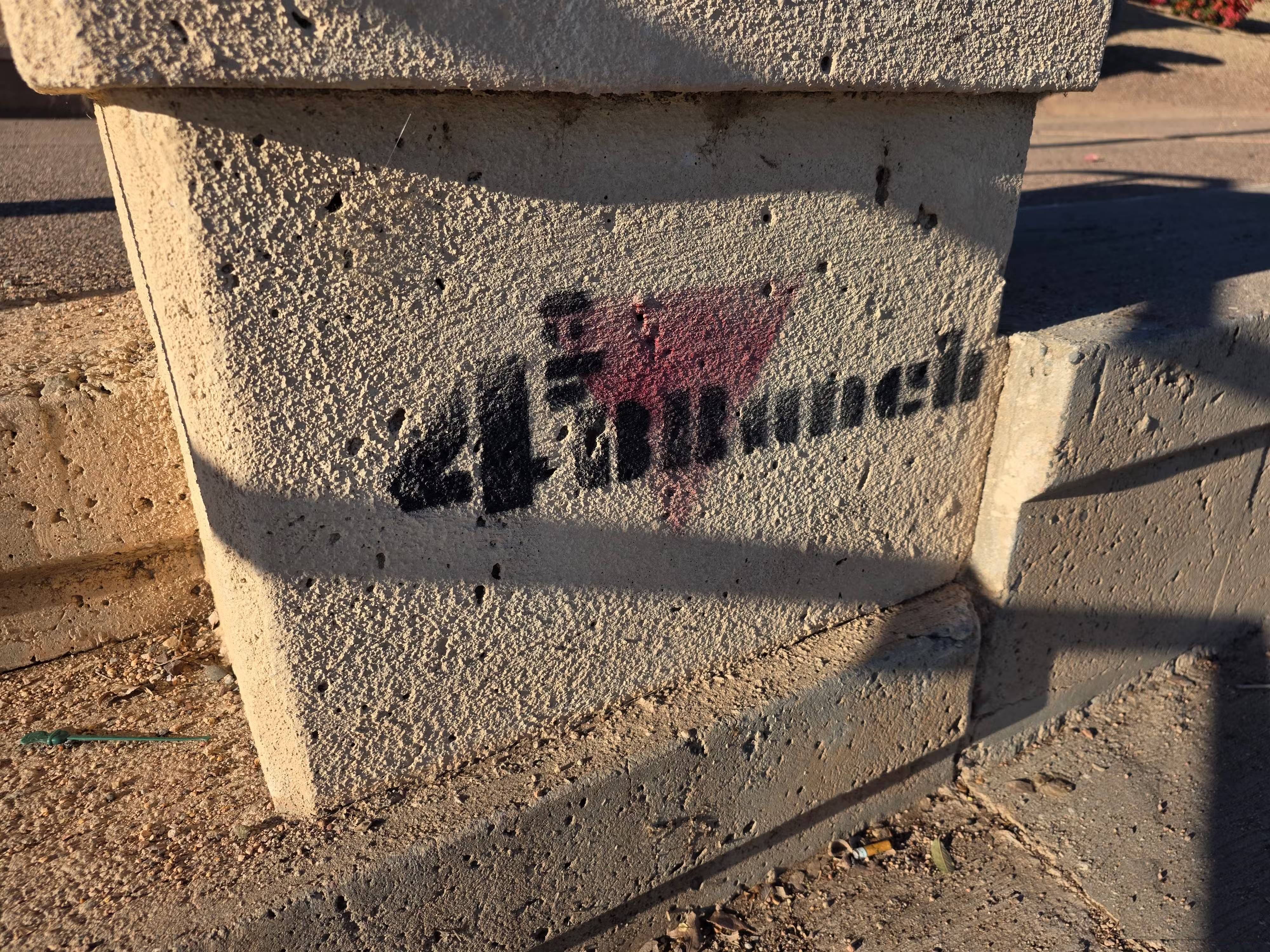 These minimalist camera apps will help you fall in love with photography again. Picture 2