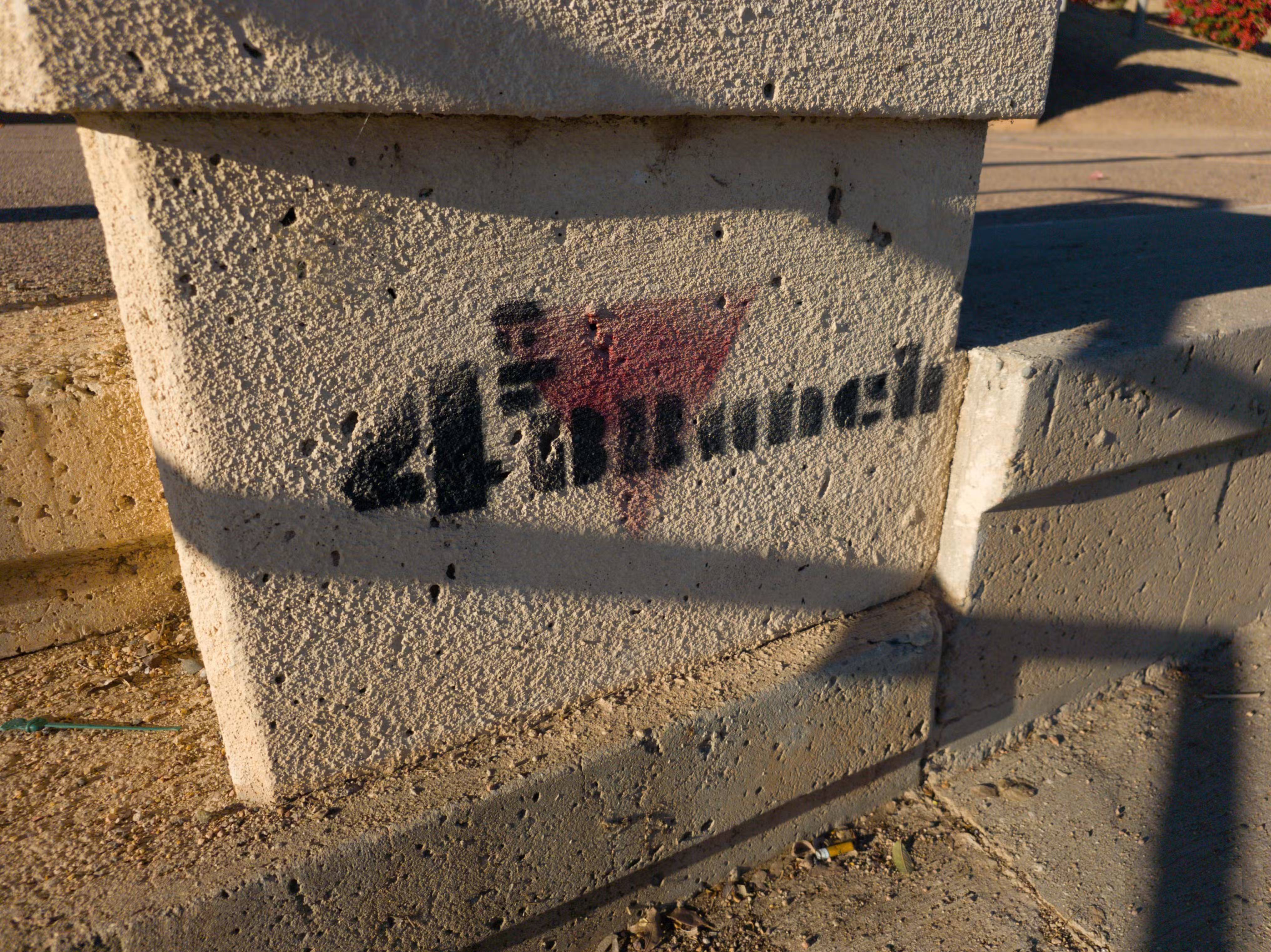 These minimalist camera apps will help you fall in love with photography again. Picture 3