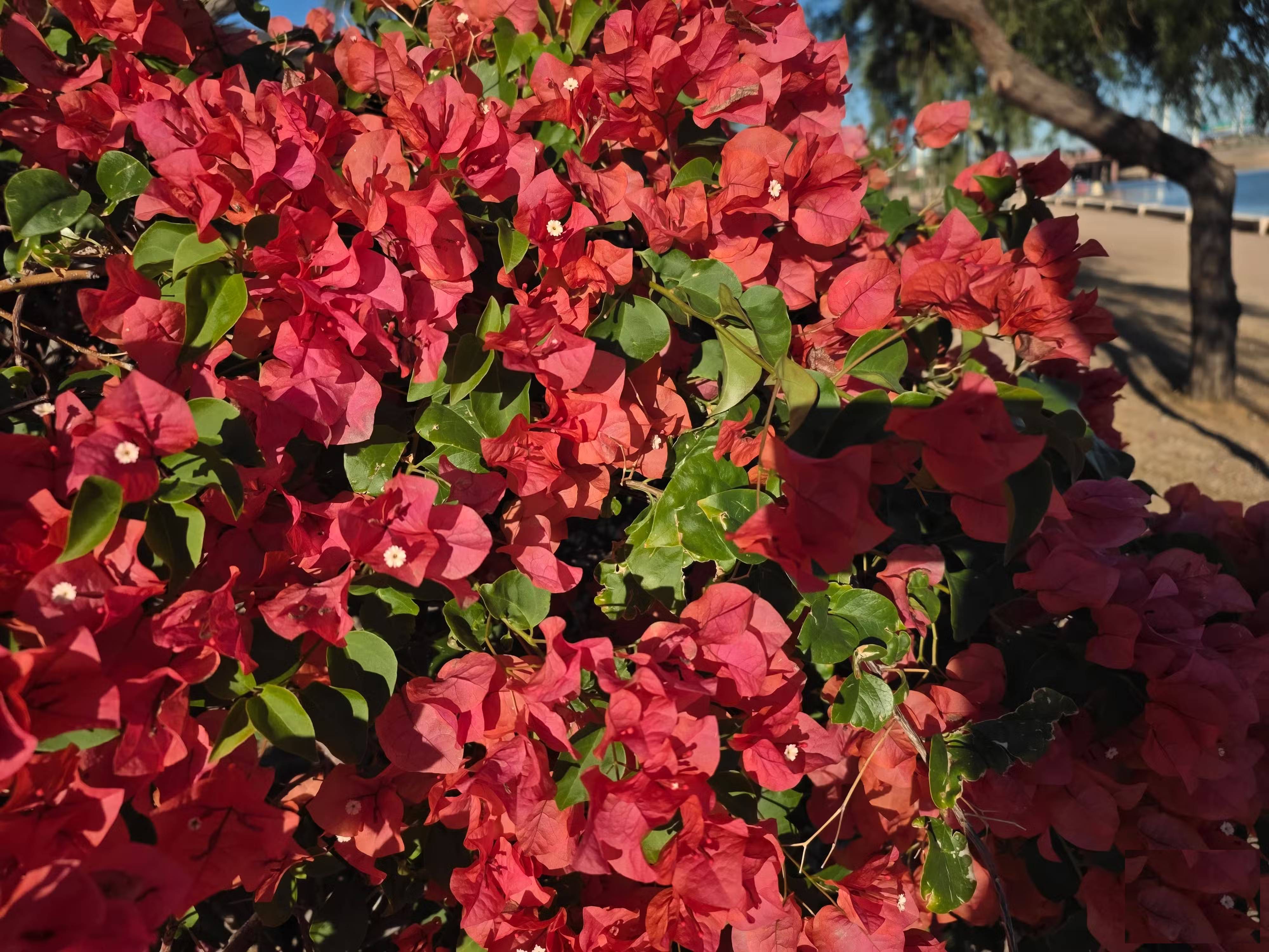 These minimalist camera apps will help you fall in love with photography again. Picture 4