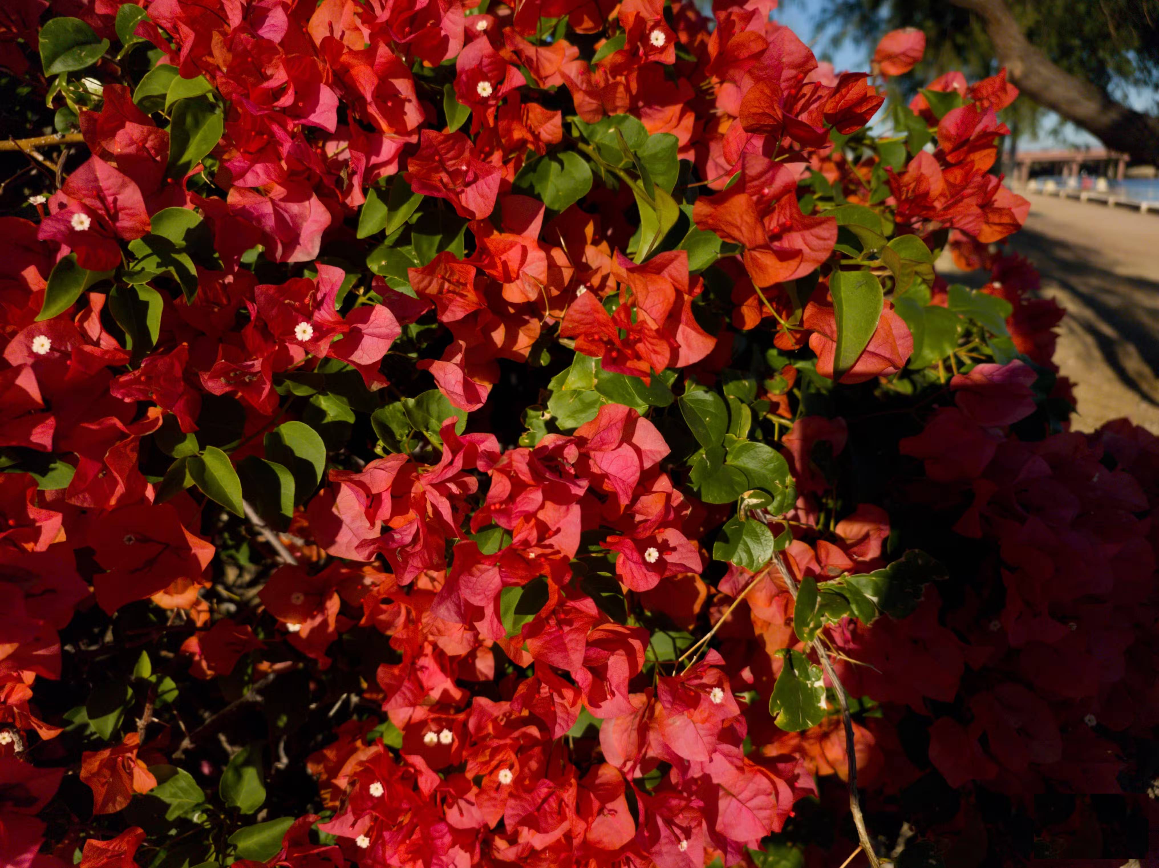 These minimalist camera apps will help you fall in love with photography again. Picture 5