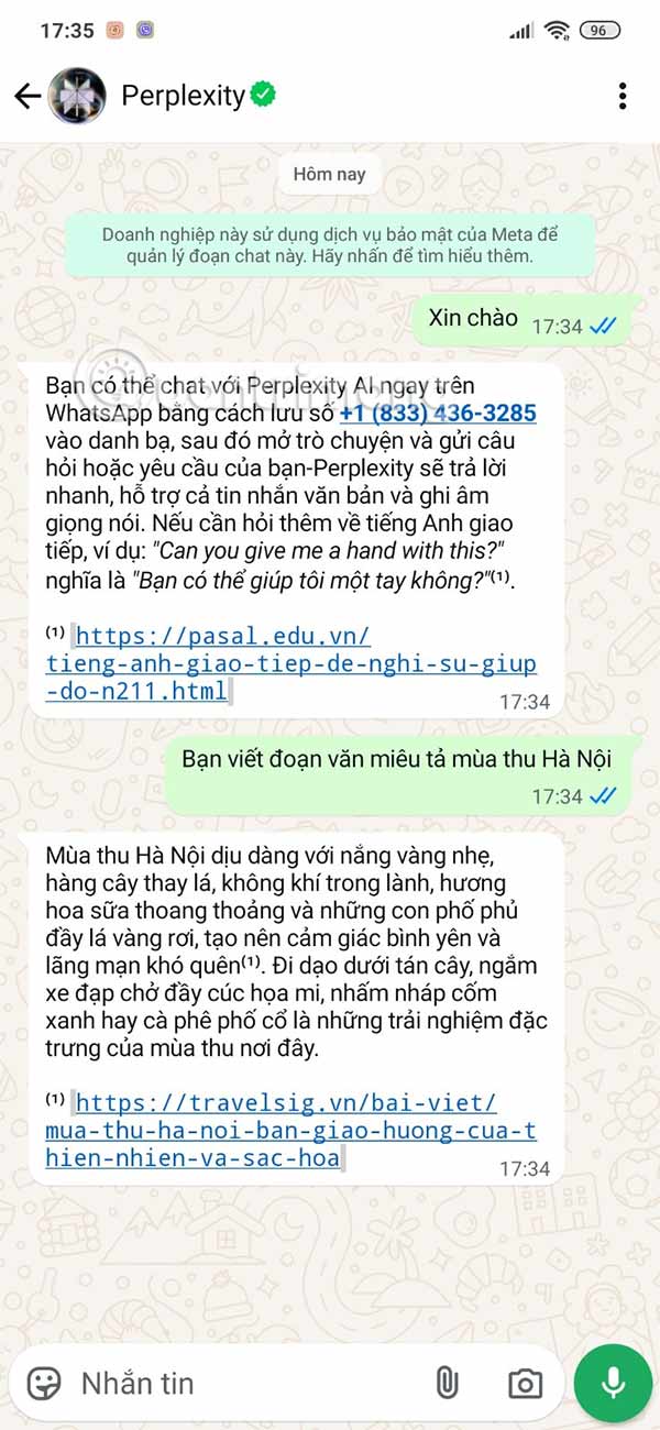 How to Add Perplexity AI on WhatsApp Picture 10