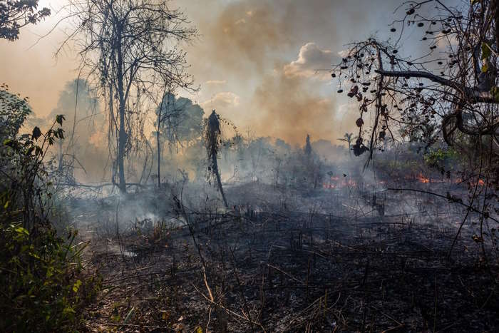 Natural disasters so devastating that you think they only happen in movies Picture 5