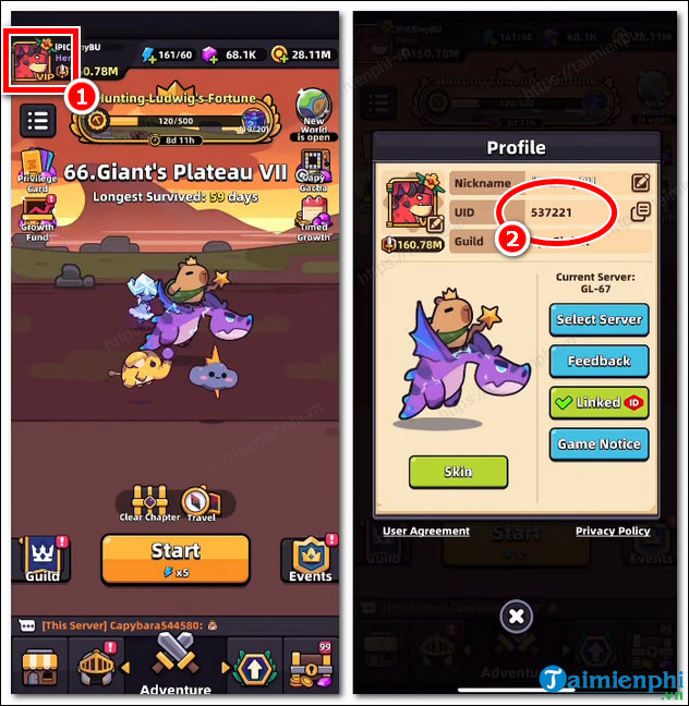 New Capybara Go Code Get Gem, Pet Egg, Stamina, Gold Picture 2