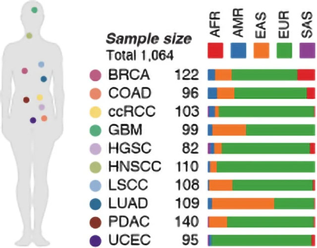 New DNA discovery could revolutionize cancer treatment Picture 1