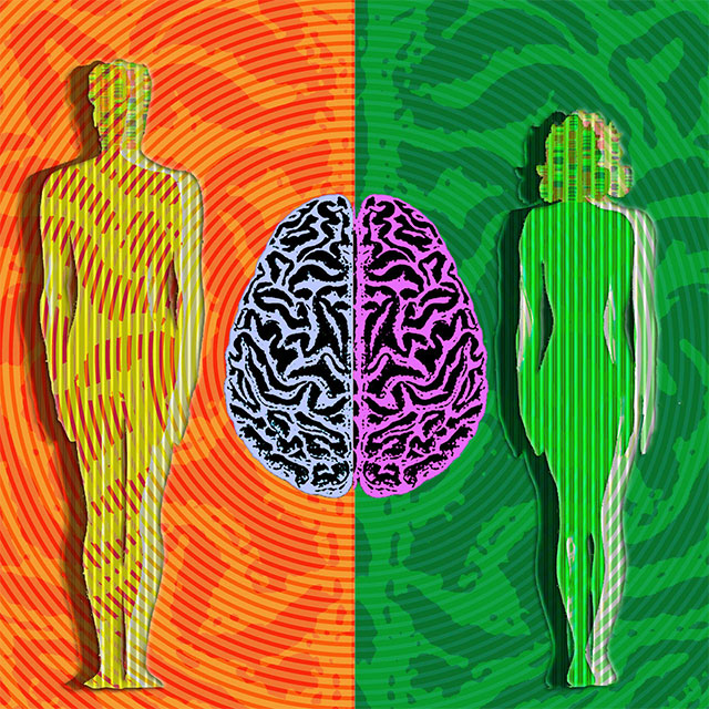 Picture 1 of New research has found that male and female brains are already different in the womb.