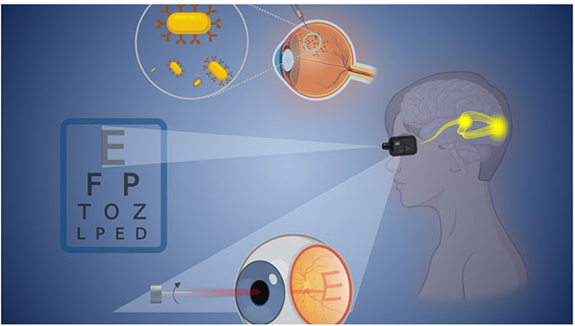 New study finds gold can significantly improve eyesight Picture 1