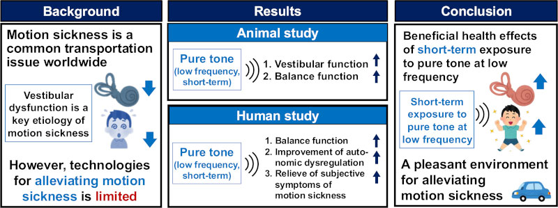 New research reveals a simple solution to reduce motion sickness Picture 1