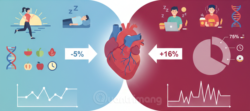 Picture 3 of Night Owls and the Risk of Stroke: Why Does Staying Up Late Harm Your Heart?