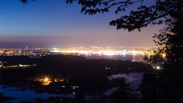 Nocturnal animals are disappearing; what are the reasons? Picture 3